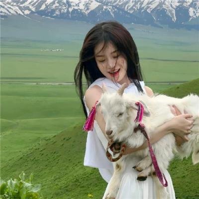猪标一族